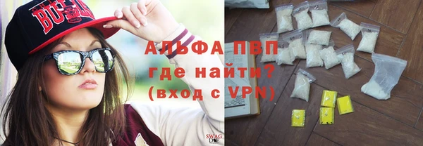 PSILOCYBIN Новодвинск