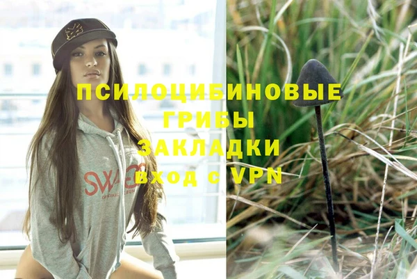 PSILOCYBIN Новодвинск