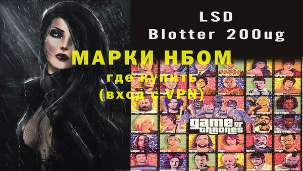 PSILOCYBIN Новодвинск