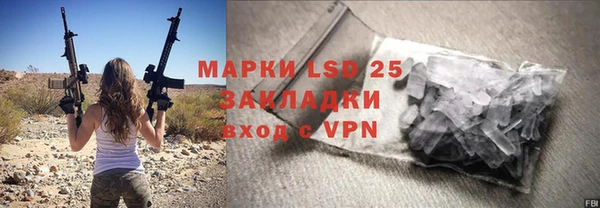PSILOCYBIN Новодвинск