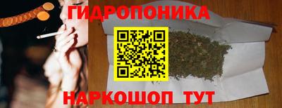 сатива Новокубанск
