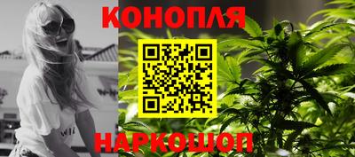 сатива Новокубанск