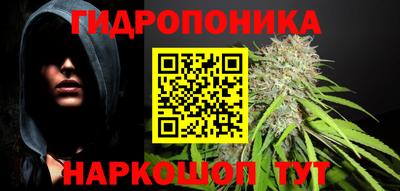 кокс Новодвинск