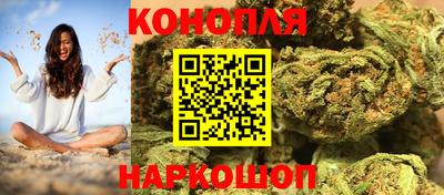 сатива Новокубанск