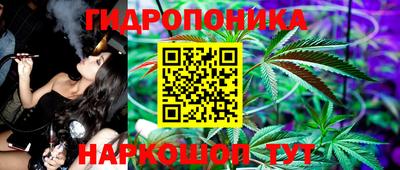 сатива Новокубанск